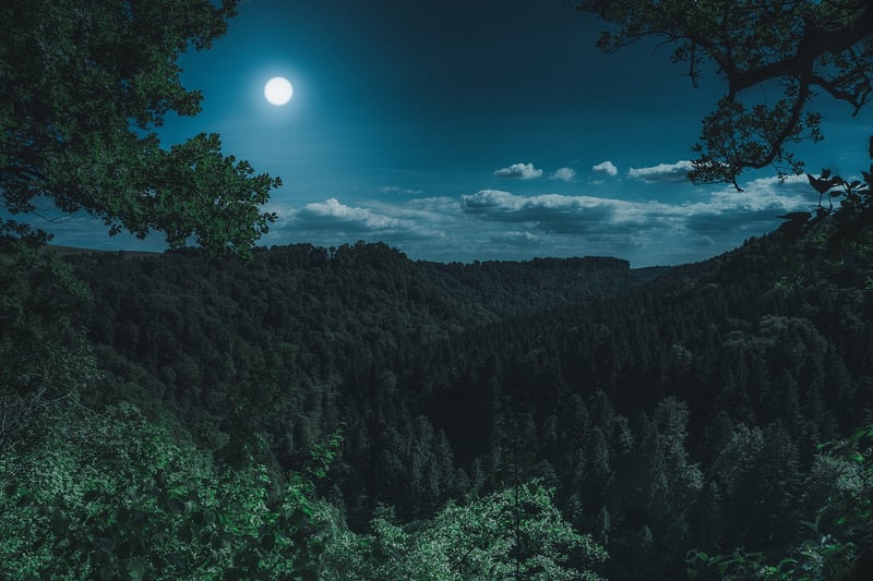 Lunar Blessings